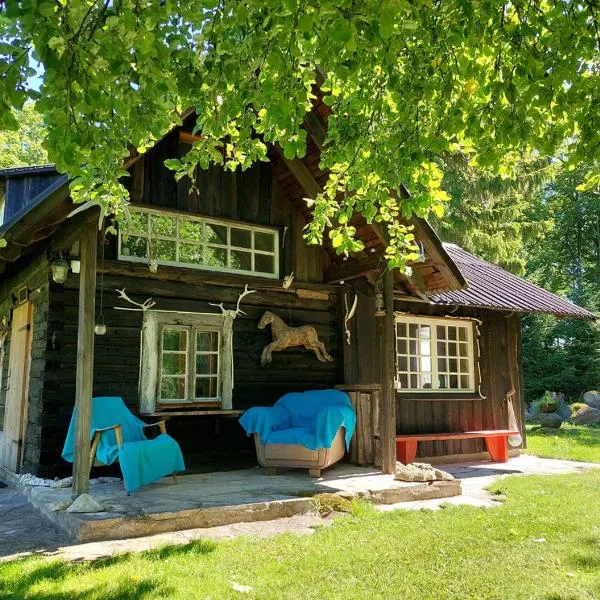 Puise saunahouse and outdoor kitchen at Matsalu Nature Park, hotel in Puise