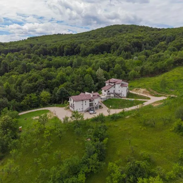 EdMont, hotel in Costeşti