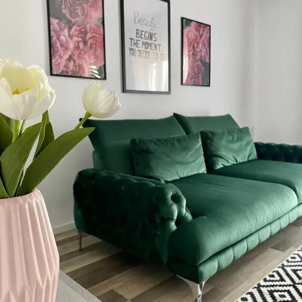 Velvet Studio, khách sạn ở Târgu-Mureş