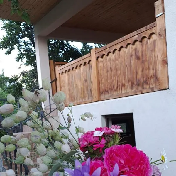 Irina's Guesthouse, hotel in Mestia