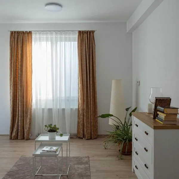 Solomon Apartments Ap 4, hotell i Căluşeri