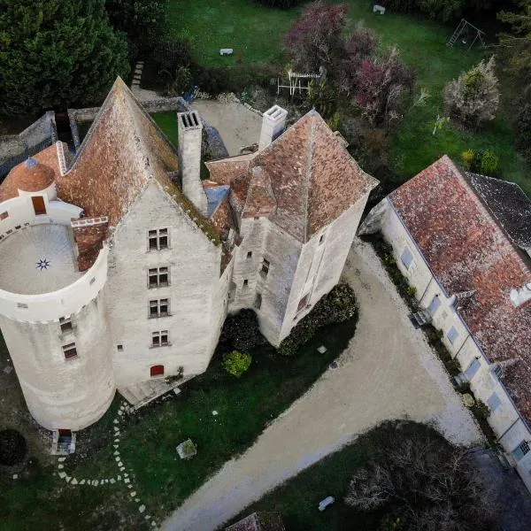 Grand gîte au château de Betz-le-Château, hotel a La Celle-Guénand