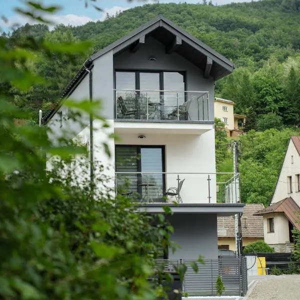 Apartamenty Nadrzeczna nad Wisłą Dream Apart: Ustroń şehrinde bir otel