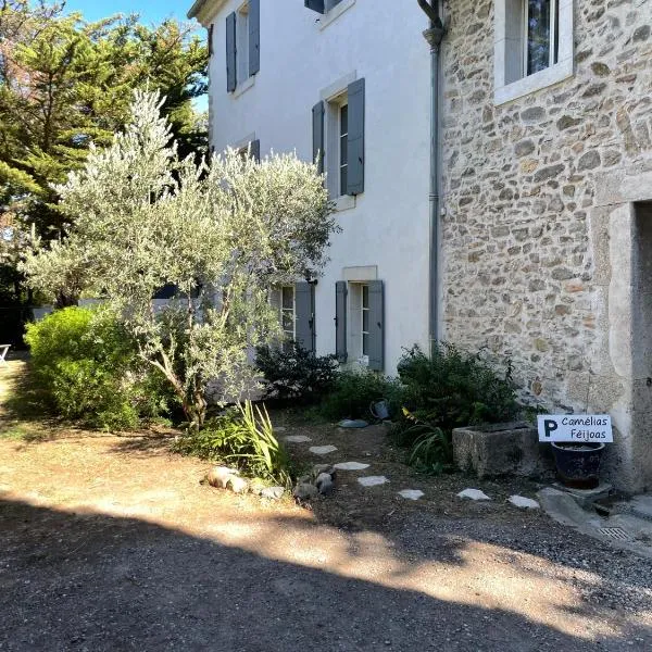 Camelias et Feïjoas Apartments, hotel in Montbrun-des-Corbières