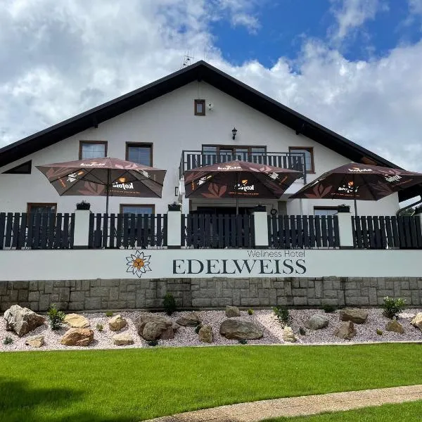 Wellness Hotel Edelweiss, hotel en Křižany