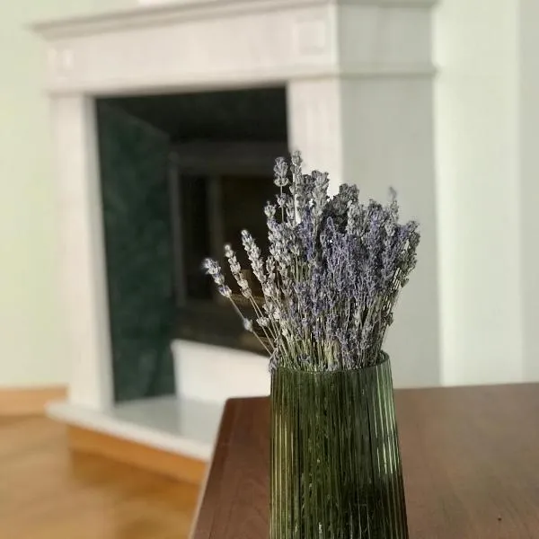 Family apartment near the University, hotel v destinaci Černovice