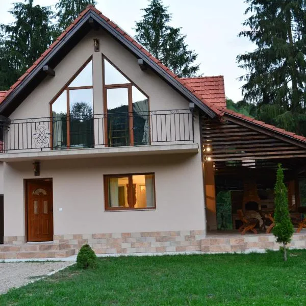 cabana din padure, hotel in Tărcaia