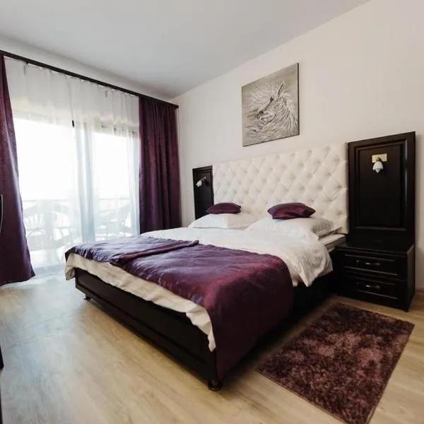 Pensiunea Emris, hotel v destinaci Spătac