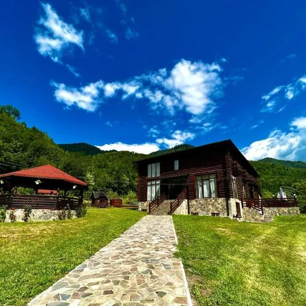 Pensiunea Roxana, hotel di Valea Vişeului