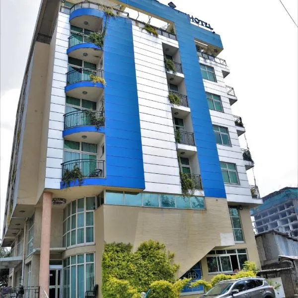 Blue Birds International Hotel, hotelli Addis Abebassa
