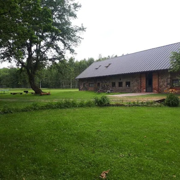 Brīvdienu Māja Brenguļos, hotelli kohteessa Myza Brenguli