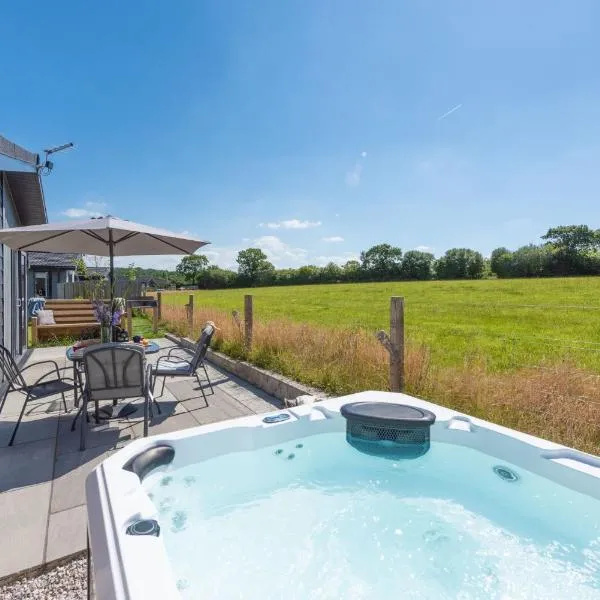 Periwinkle Lodge, 3 Roadford Lake Lodges, hotel v destinaci Lifton
