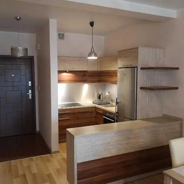 Apartament Marzenie 11 - Opole, hotel in Opole