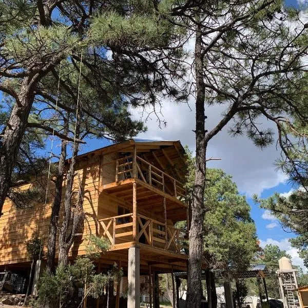 Cabañas el Pino 3, hotel in Creel