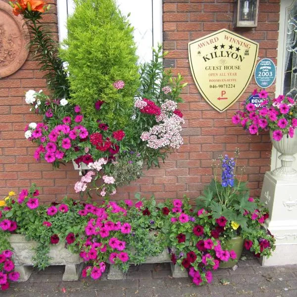 Killyon Guest House, hotel in Navan