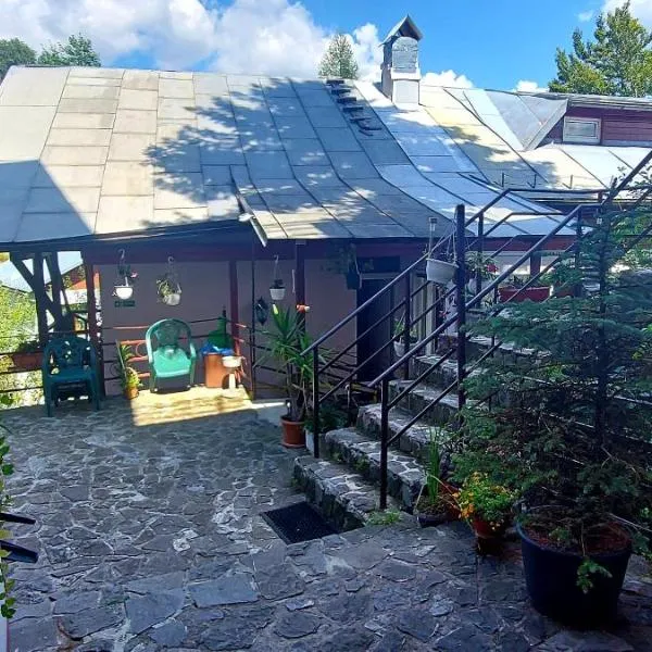 Casa Cristina_ Cabana, hotel i Buşteni