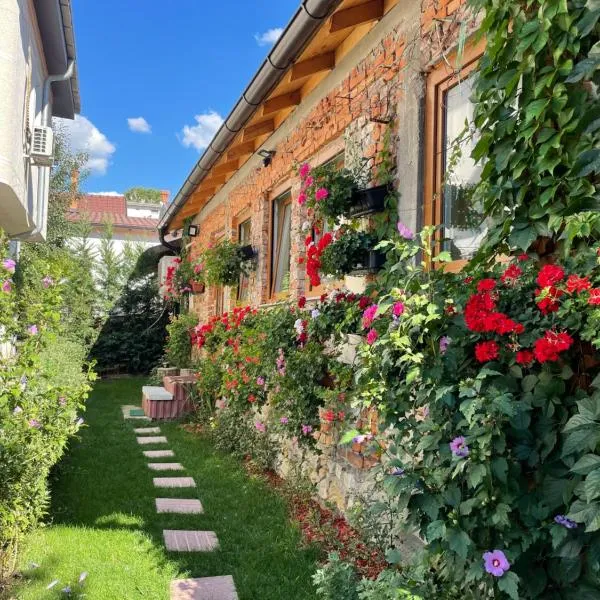 Flower House in the City Center!, hotel u Prištini