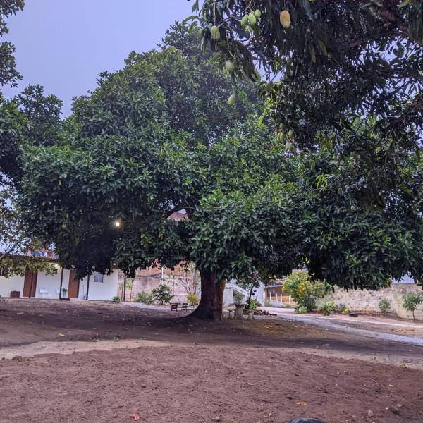 Pousada Viana - Foto 4