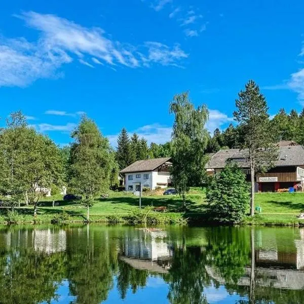 Ferienwohnung "Am Skilift", hotel in Herrischried