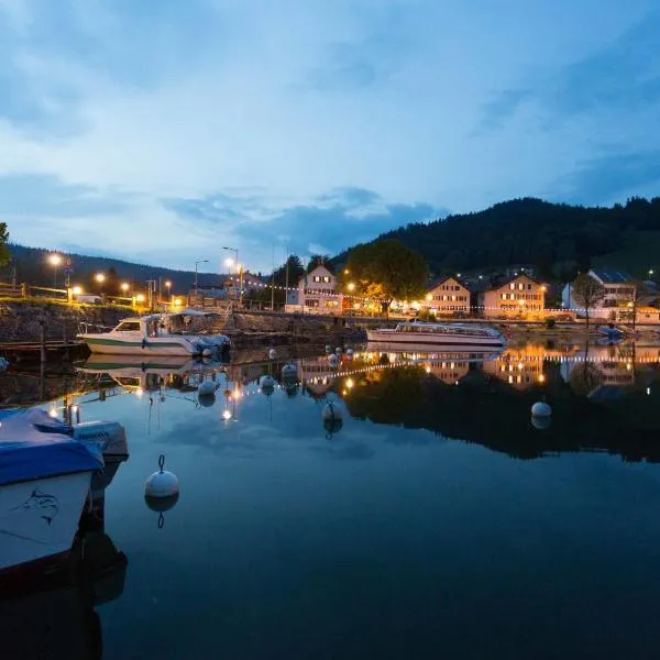 HOTEL de la Truite & SPA Le petit Nautilus、Le Pontのホテル