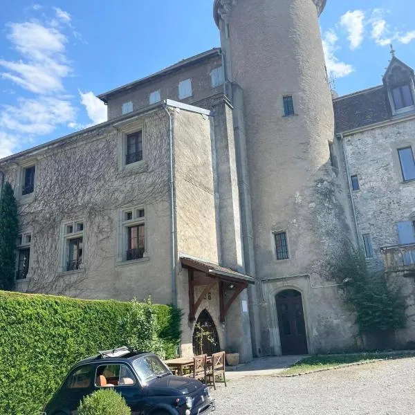 Superbe appartement au château d'Allaman de 80m2, hotel in Lugrin
