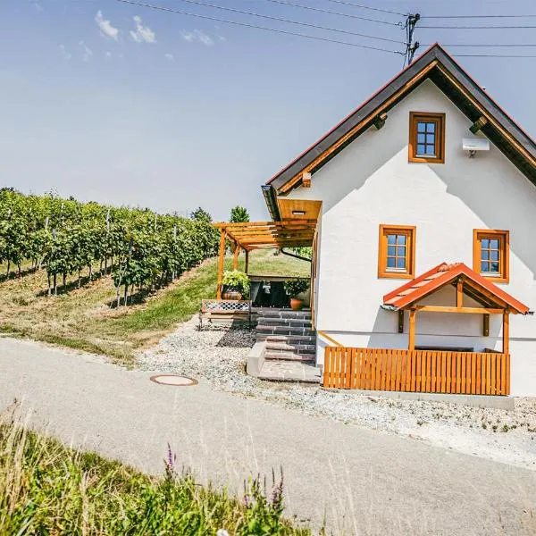 Ferienhaus Gaas Weinberg, hotel in Gaas