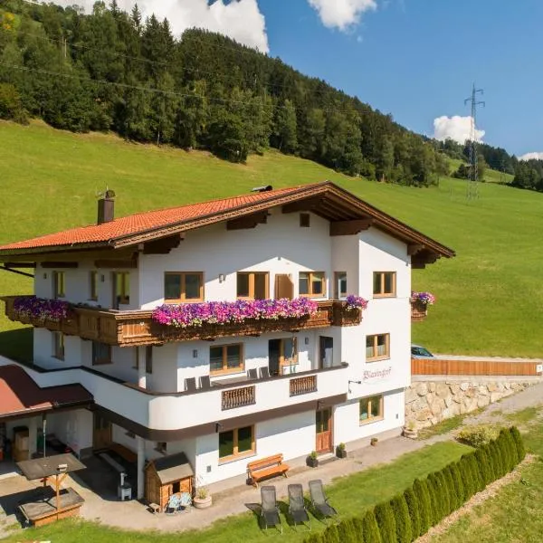 Blasinghof, hotel en Gerlosberg