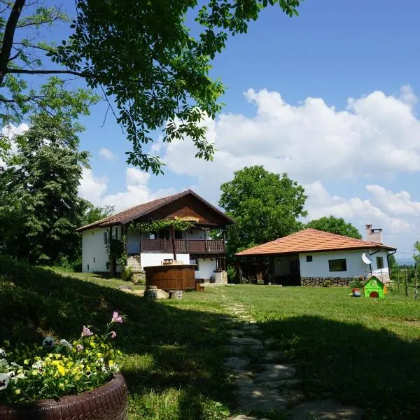 Къща за гости "Касапите", hotel in Valevtsi