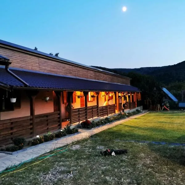 Casa Borcean 2, hotel em Sasca Montană