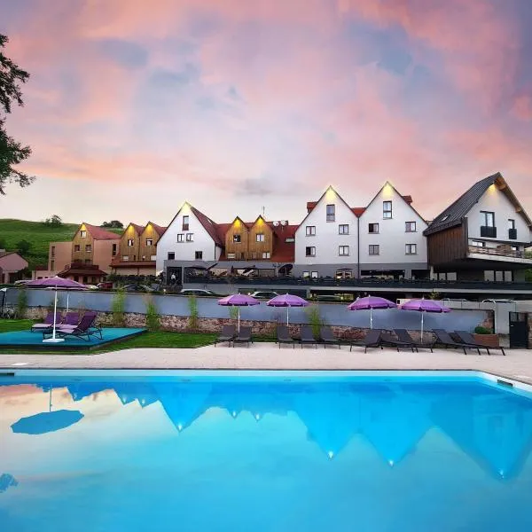 Best Western Hotel & SPA Le Schoenenbourg, готель у Рикевірі