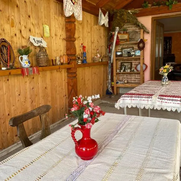 Casa Viki, hotel v destinaci Hurez