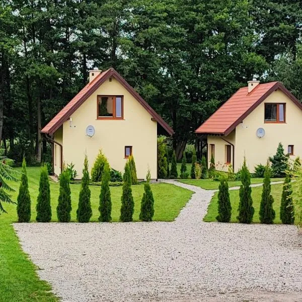 Domki letniskowe Yaga, hotel in Wilkasy