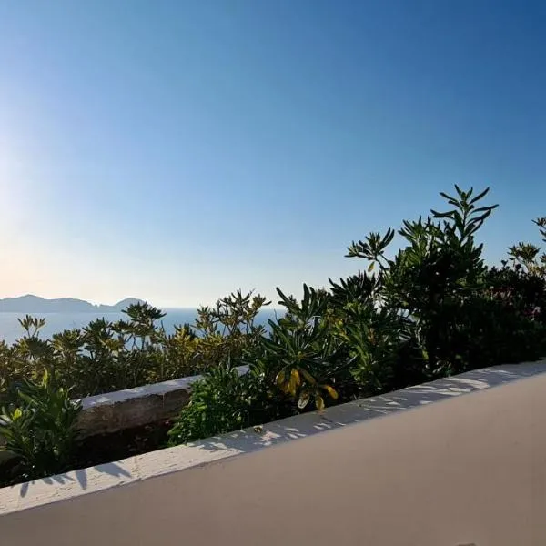 Guest House Villa Il Gabbiano, ξενοδοχείο σε Ponza