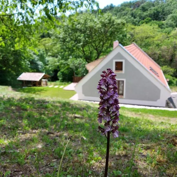 Kosbor Vendégház, hotel din Kapolcs