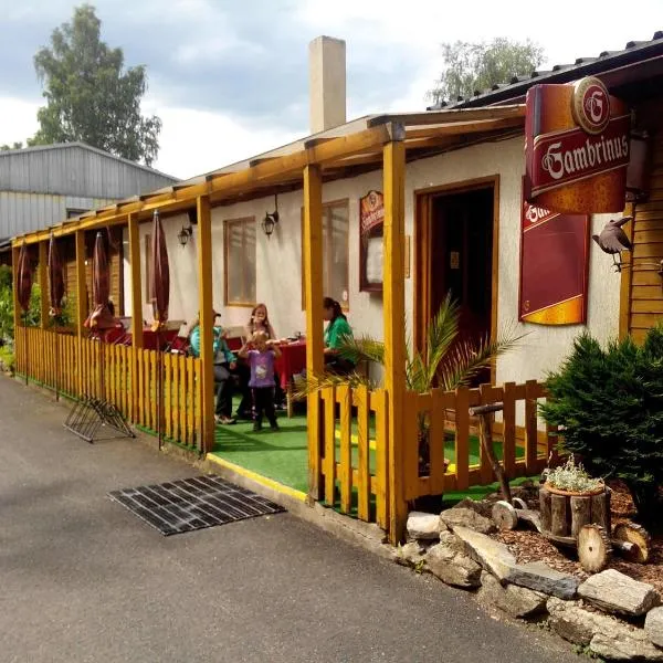Penzion Na Srubech, hotel v destinaci Hora Svaté Kateřiny