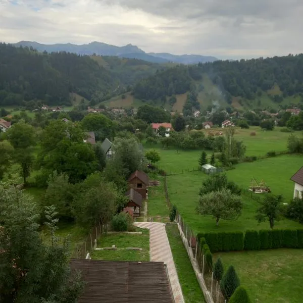 Pensiunea Brian, hotel v mestu Moieciu de Jos