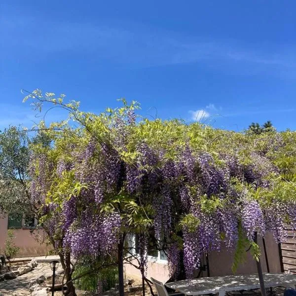 Le clos des olivettes, hotel in Saint-Jean-de-Cuculles