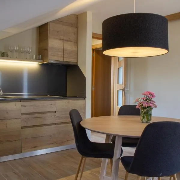 Apartaments Areny - L'Amfitriona – hotel w mieście Esterri d'Àneu