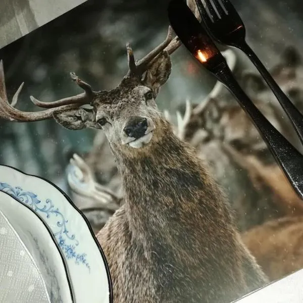 Lesse en Ciel vous accueille avec plaisir ., hotel en Houyet