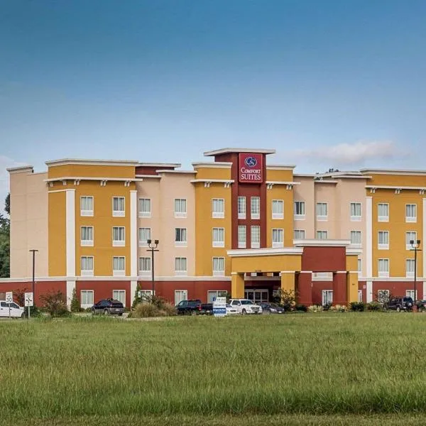 Comfort Suites near Tanger Outlet Mall, hotel in Geismar