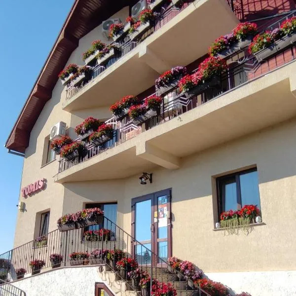 TOMIS Pensiune, hotel in Baile Felix
