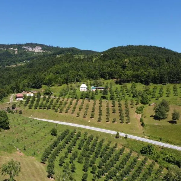 Kljajevica Orchard, hotel in Pljevlja