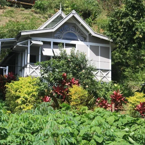 Gingerbread Cottage and Studio Fiji – hotel w mieście Savusavu