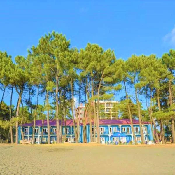 EVRIKA hotel Shekvetili, hotel v destinaci Šekvetili