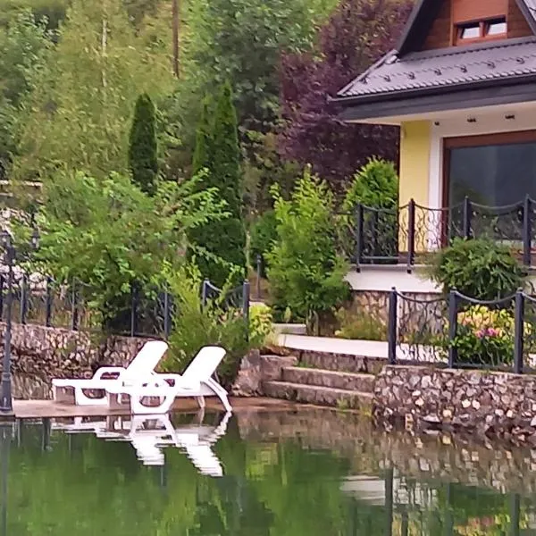 Villa Drinski biser sa bazenom, hotel en Rogatica