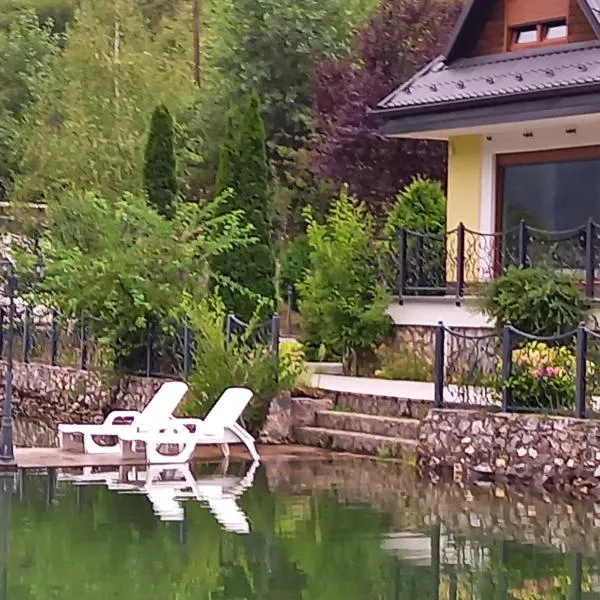Villa Drinski biser sa bazenom, hotel v destinaci Višegrad