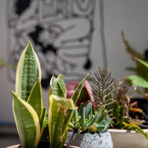 MeMeraki Artist Residency, hotel v destinaci Limassol