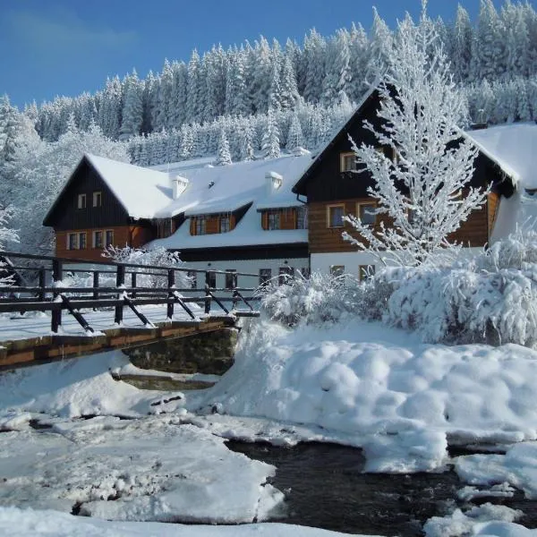 Chata Cyborga, hotel in Bielice