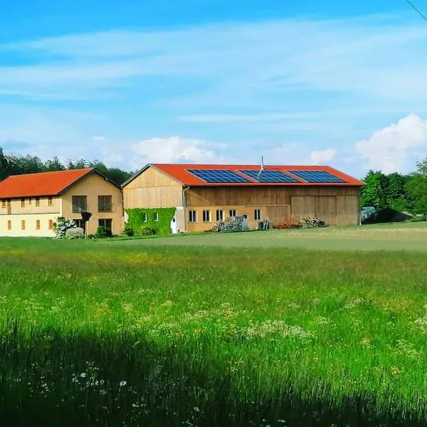 Niedergerner Alpaka Ranch, hotel en Kirchdorf am Inn