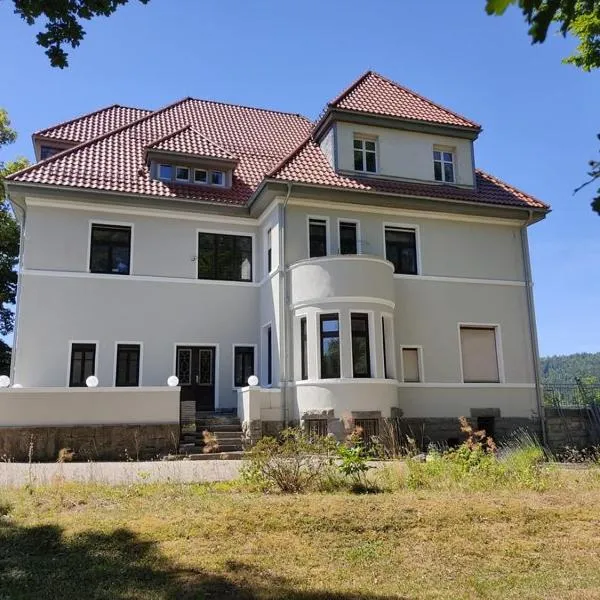 Parkvilla Köhler, hotel i Zella-Mehlis